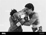 Wilfredo Gomez