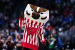 Wisconsin Badgers | College Football Network