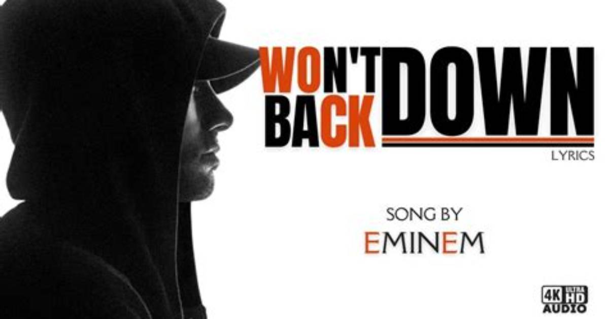 Won't Back Down by P! Nk & Eminem from Usa