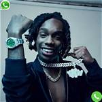 Ynw Melly Phone Number Whatsapp Number Contact Number Mobile