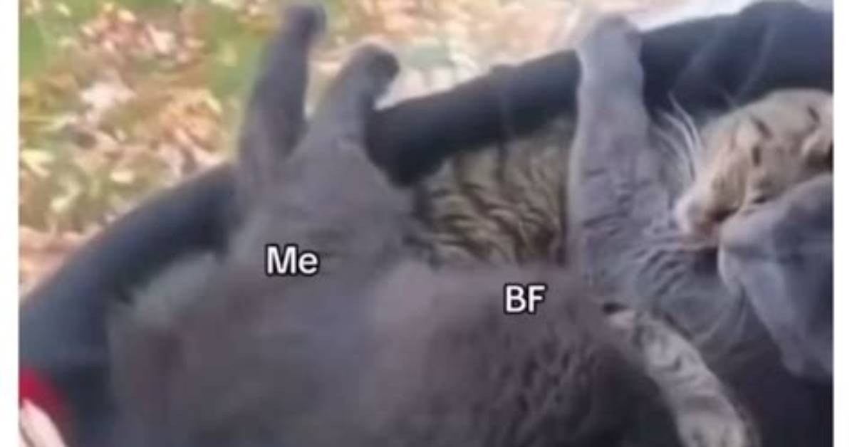 You Won’t Be Able to Resist Trying Tiktok’s Blink Challenge