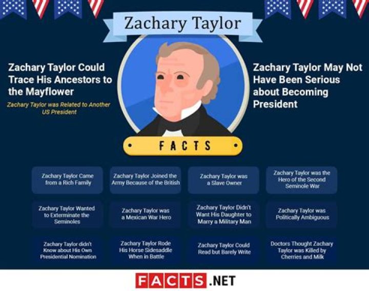 Zachary Taylor Facts Infographics