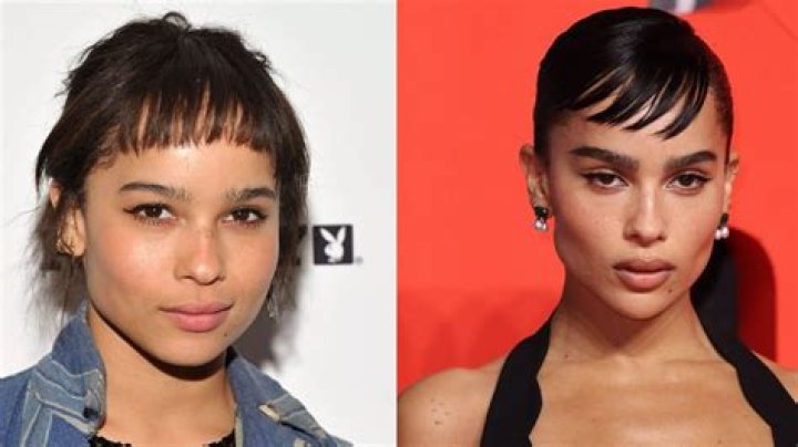 Zoe Kravitz Plastic Surgery How Many Plastic Surgeries She Had? Lake