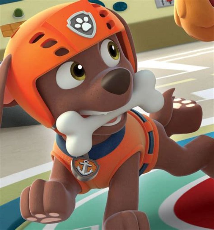 Zuma/Appearances PAW Patrol Wiki Fandom powered by Wikia