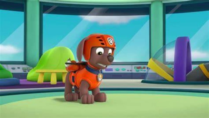 Zuma/Gallery PAW Patrol Wiki FANDOM powered by Wikia