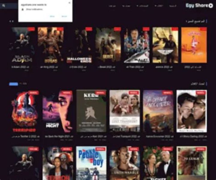 تحميل تطبيق egyshare ايجي شير Apk للاندرويد