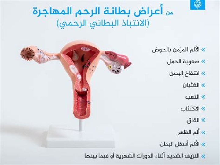 سمك بطانة الرحم ما هو النطاق الطبيعي للحمل؟