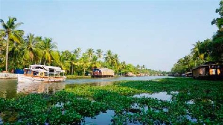 മോതിരം കൈമാറി കാളിദാസ് ജയറാമും തരിണിയും...! വിവാഹ നിശ്ചയം കഴിഞ്ഞു